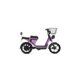 موتور  برقی Nescooter GE