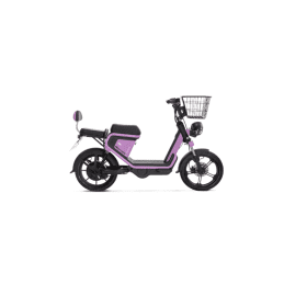 موتور  برقی Nescooter GE